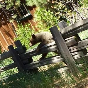 Meet your Posher, Patty